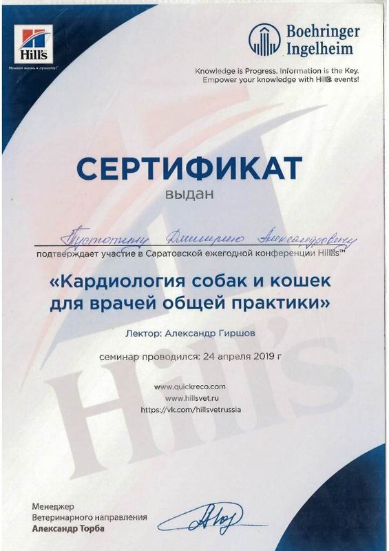Документ или сертификат