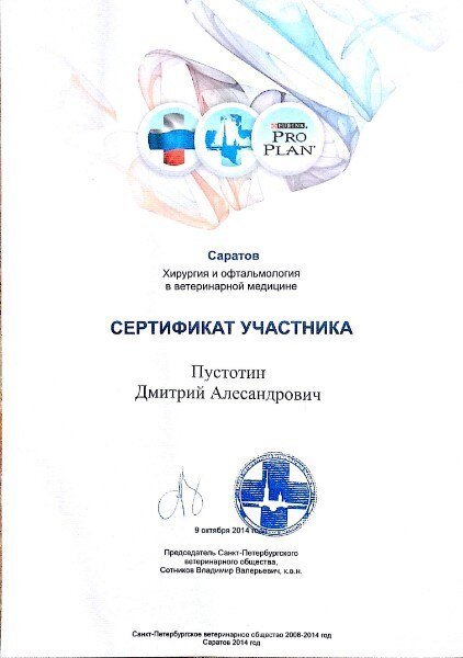 Документ или сертификат