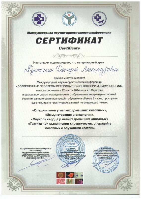 Документ или сертификат