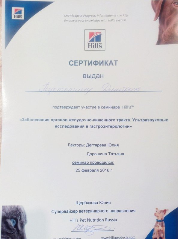 Документ или сертификат