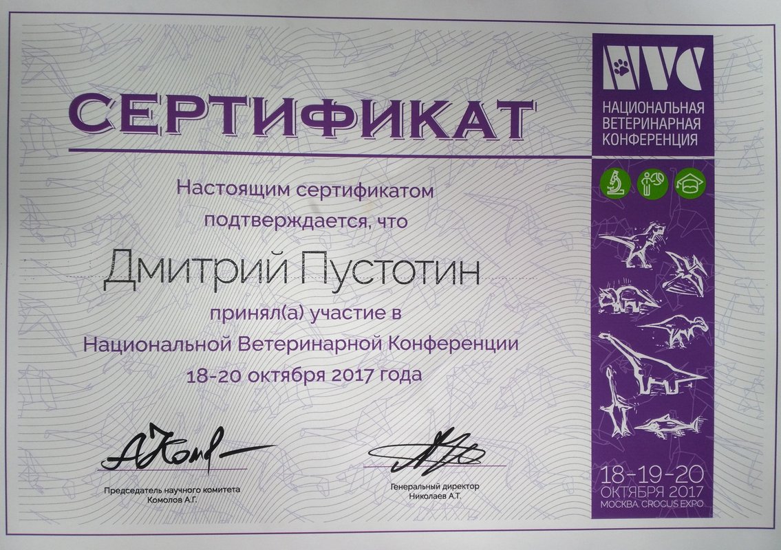 Документ или сертификат