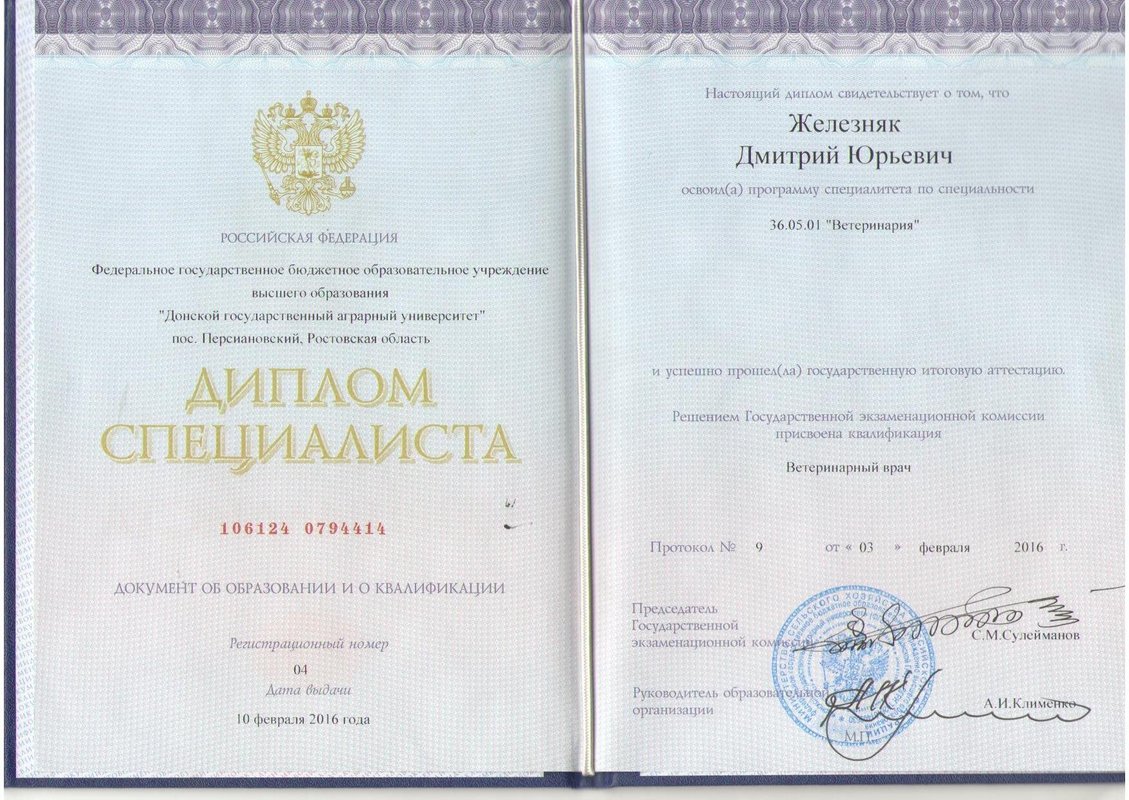 Документ или сертификат
