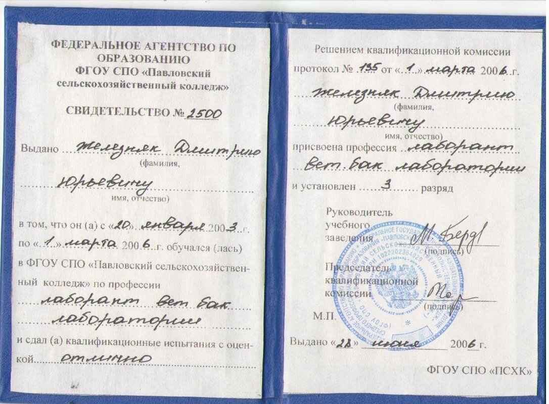 Документ или сертификат