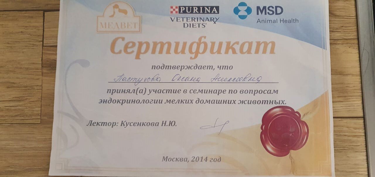 Документ или сертификат