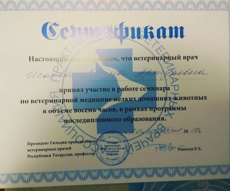 Документ или сертификат