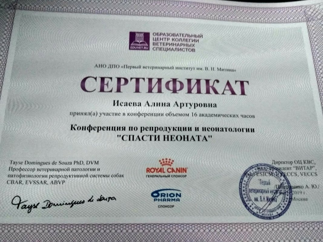 Документ или сертификат
