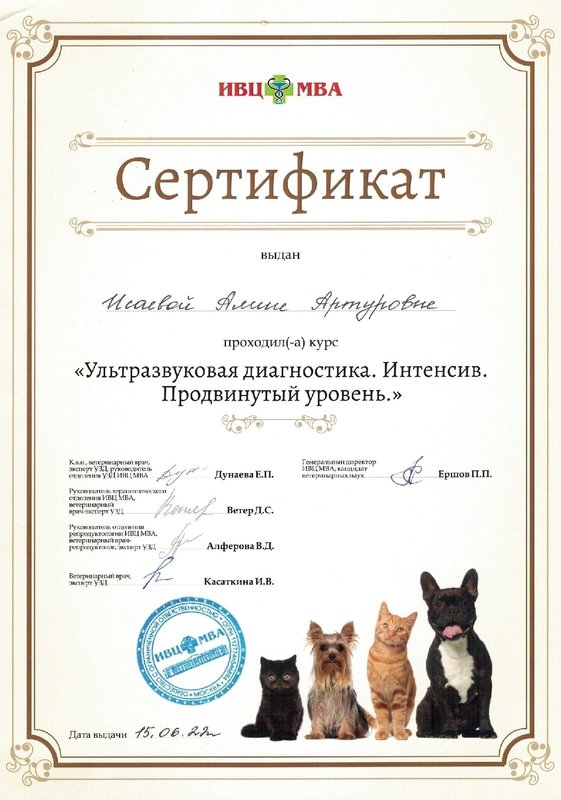 Документ или сертификат