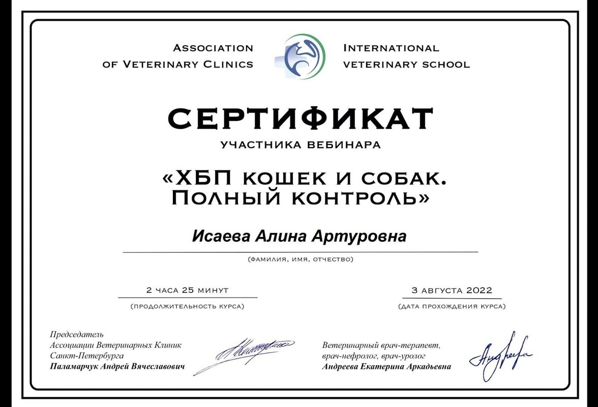 Документ или сертификат