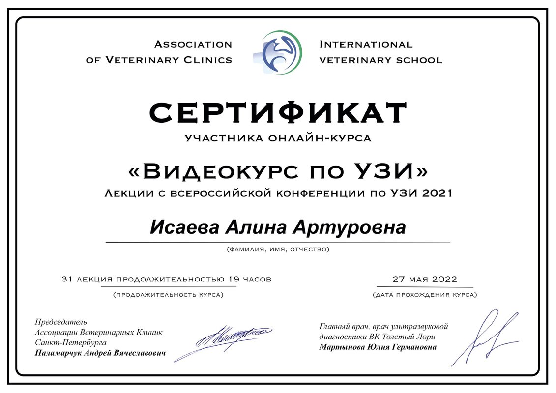 Документ или сертификат