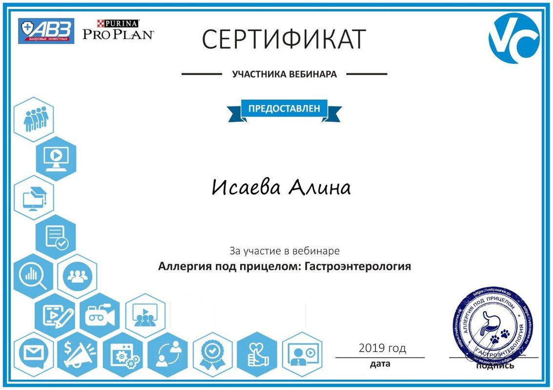 Документ или сертификат