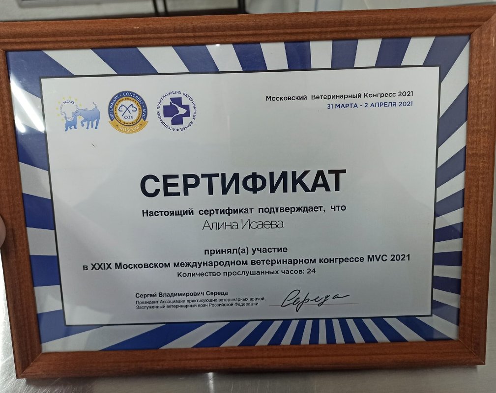 Документ или сертификат
