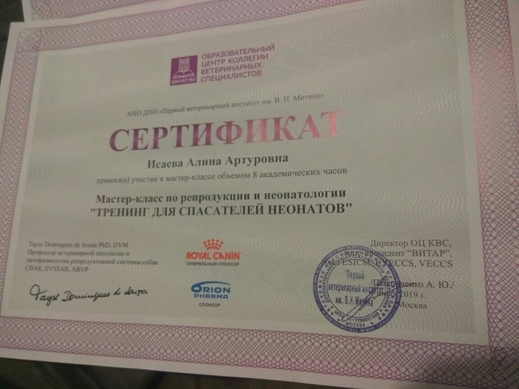 Документ или сертификат