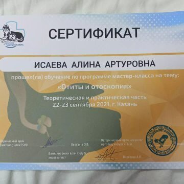 Документ или сертификат