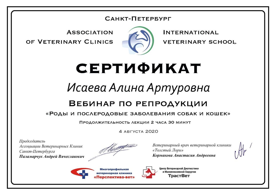 Документ или сертификат