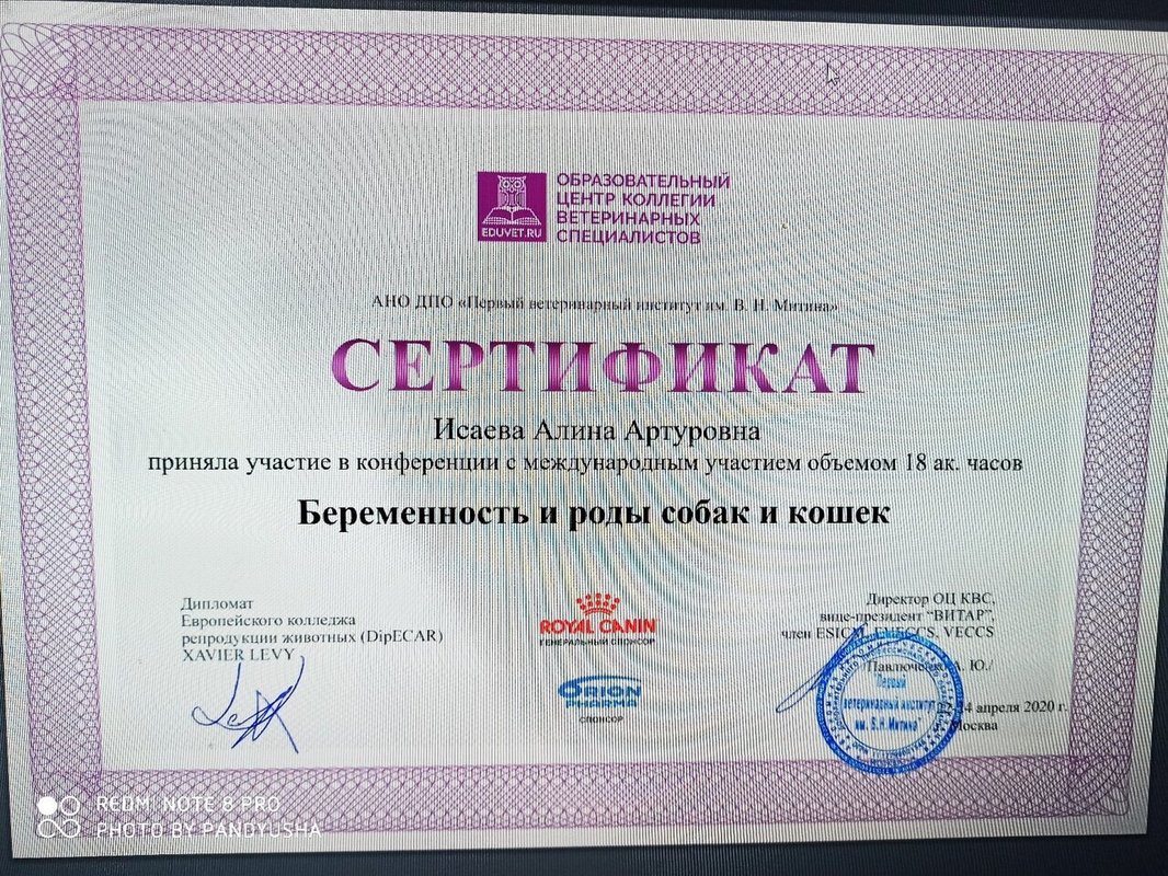 Документ или сертификат