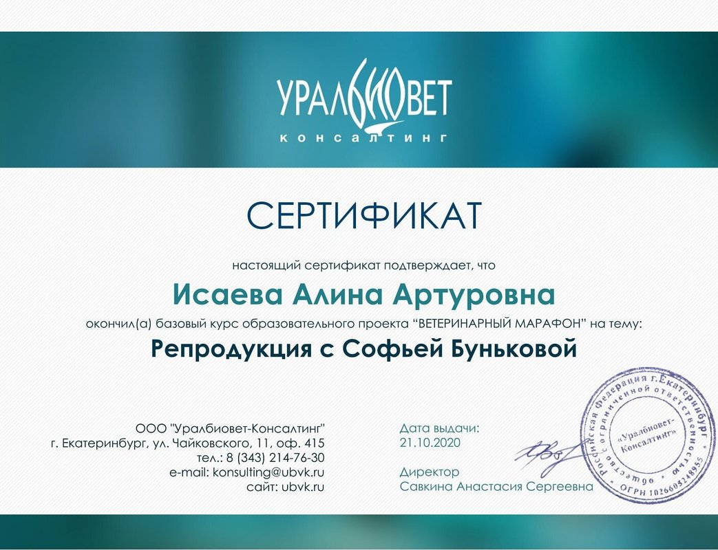 Документ или сертификат