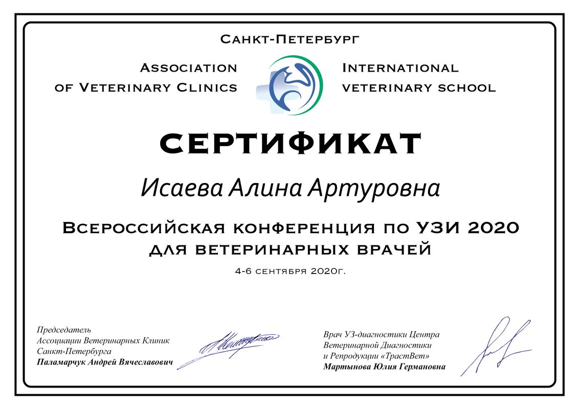 Документ или сертификат