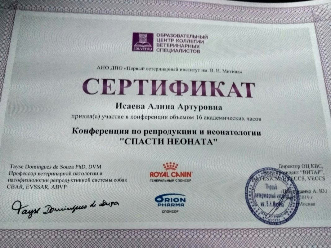 Документ или сертификат