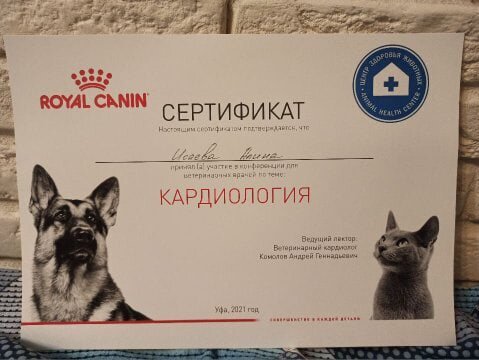 Документ или сертификат