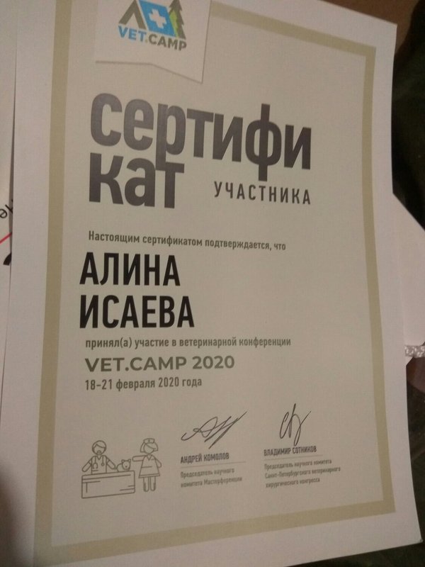 Документ или сертификат