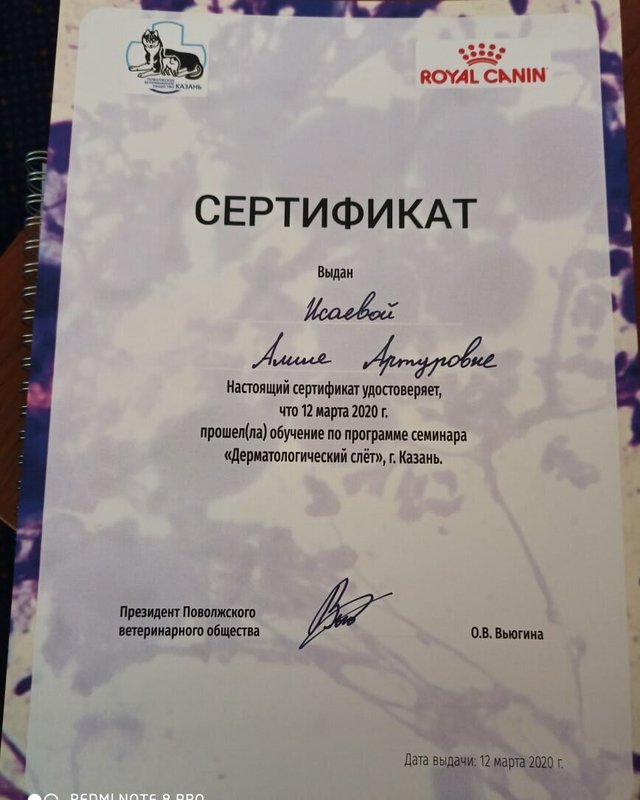Документ или сертификат