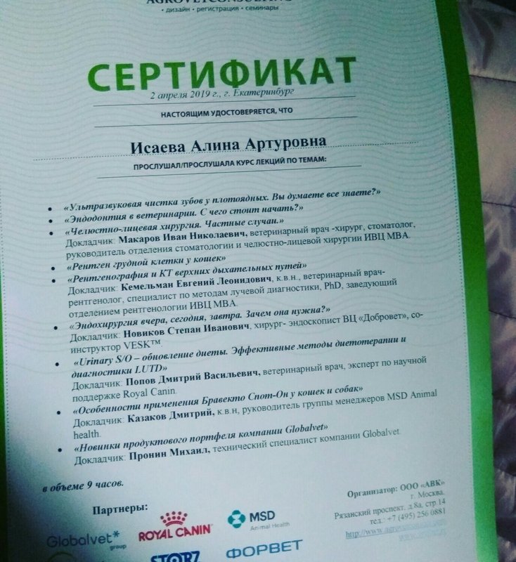 Документ или сертификат