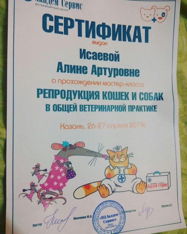 Документ или сертификат