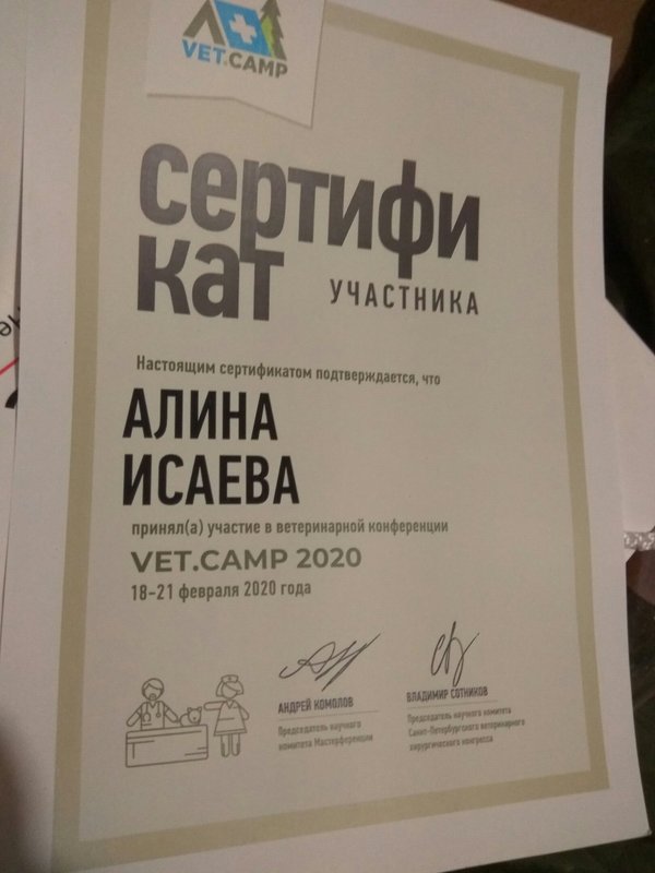 Документ или сертификат