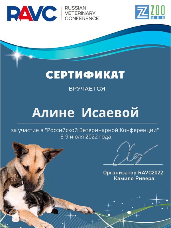 Документ или сертификат