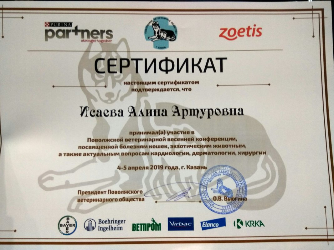 Документ или сертификат