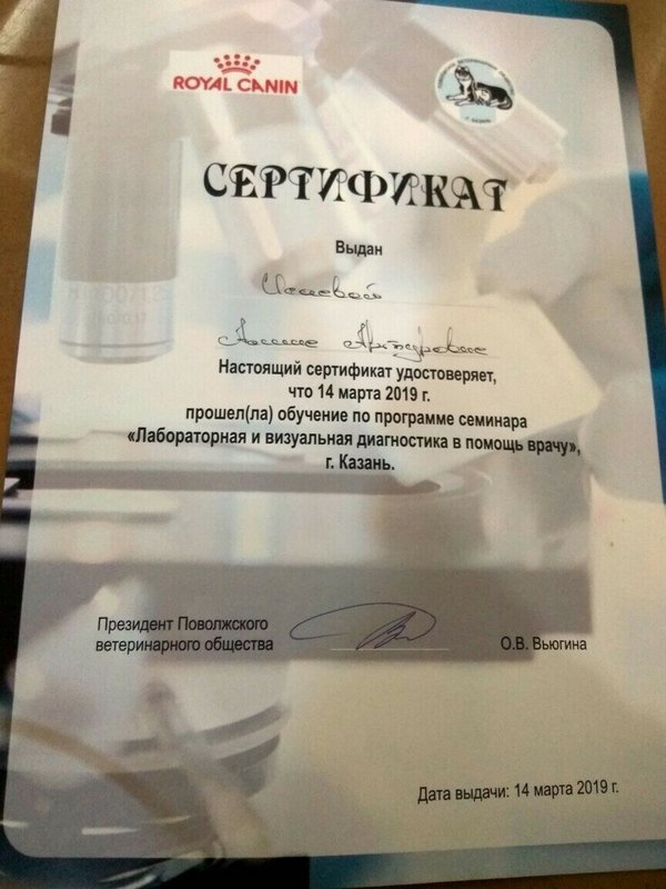 Документ или сертификат