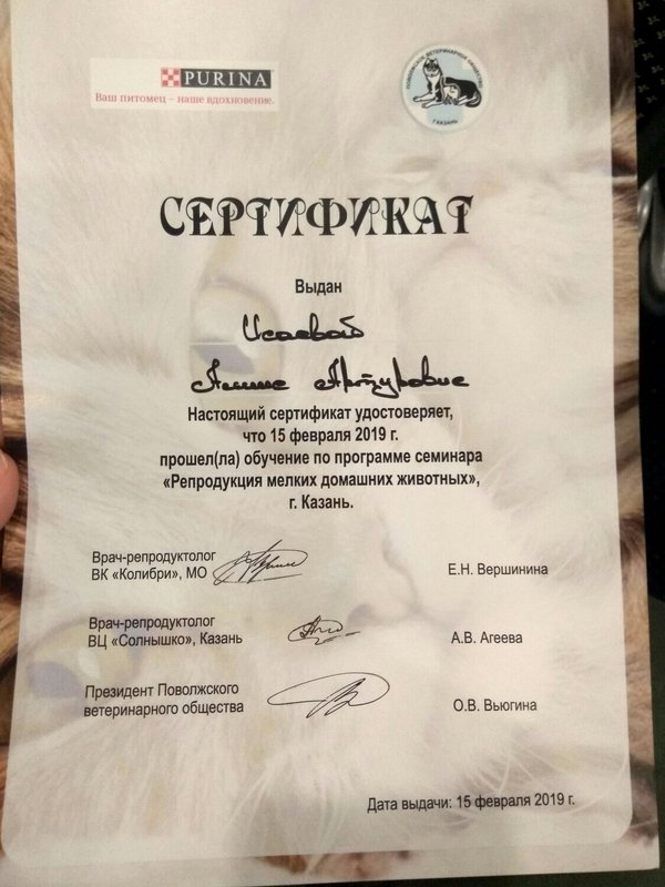 Документ или сертификат