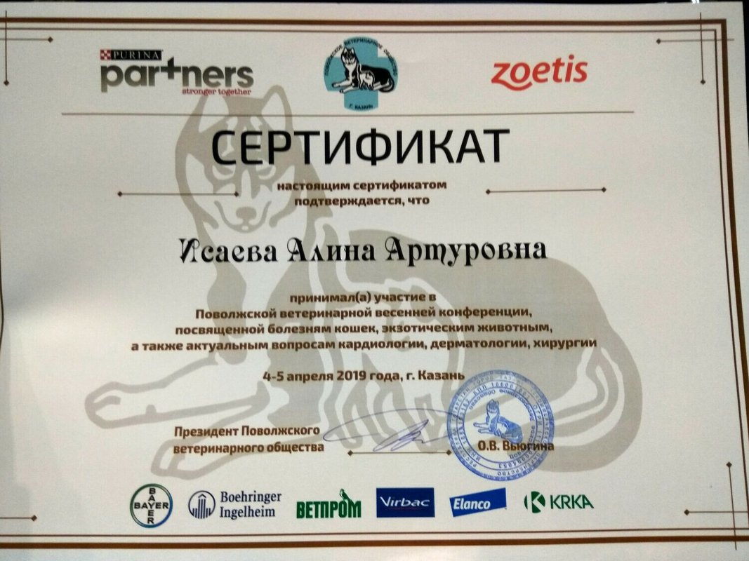 Документ или сертификат