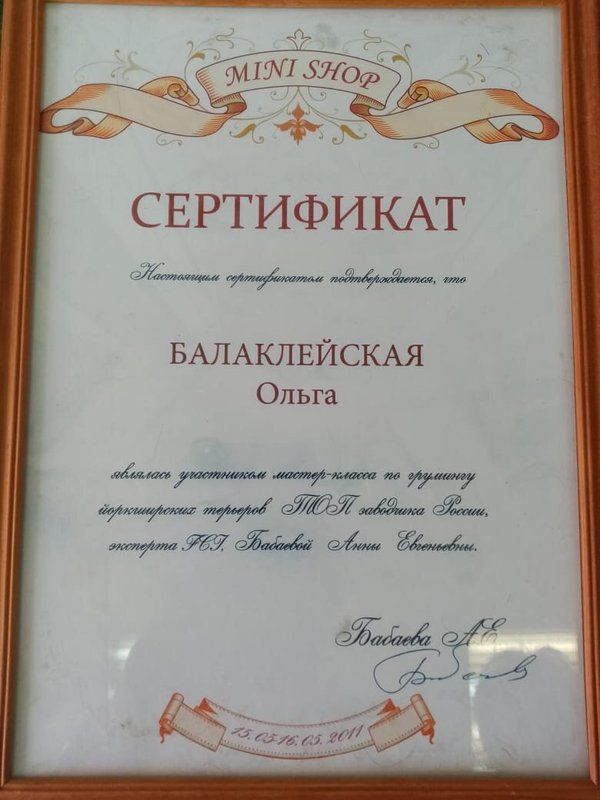 Документ или сертификат
