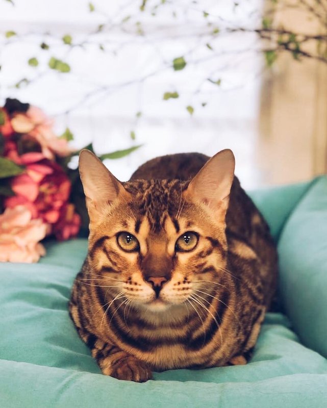 Фото врача