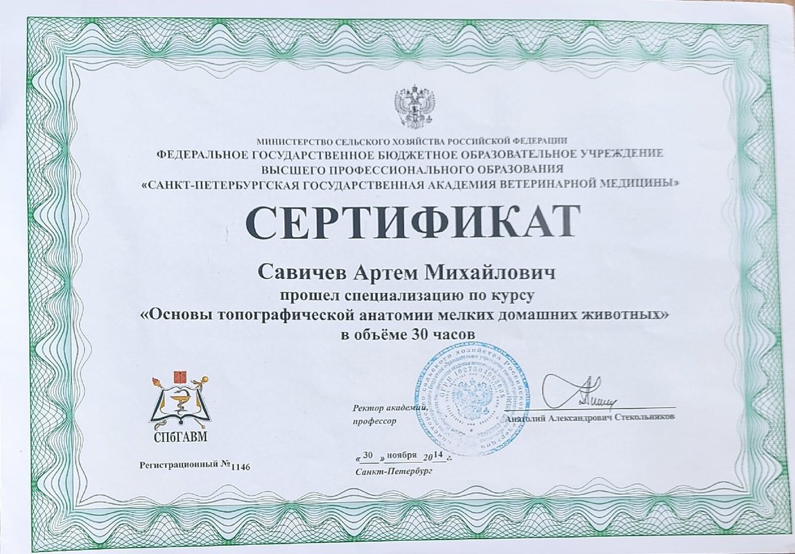 Документ или сертификат