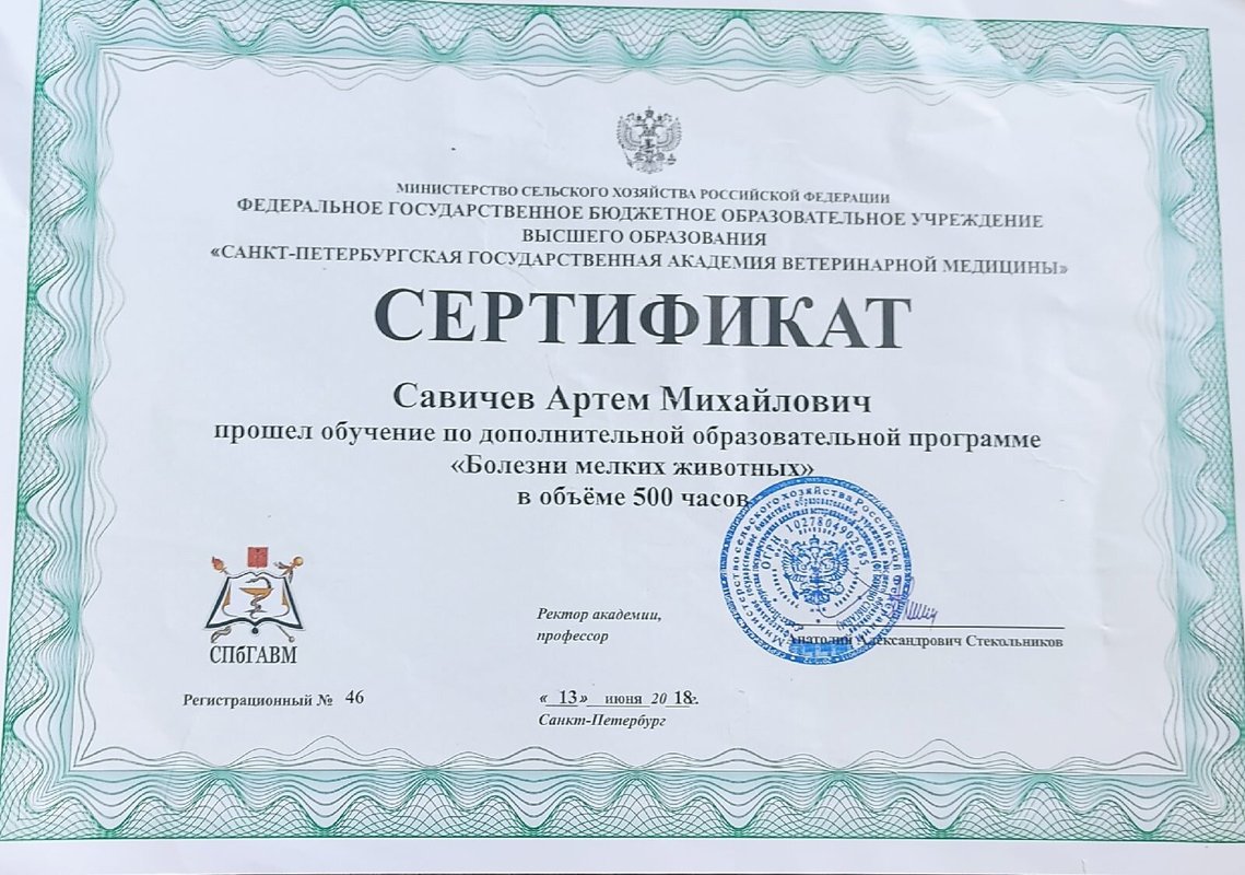Документ или сертификат