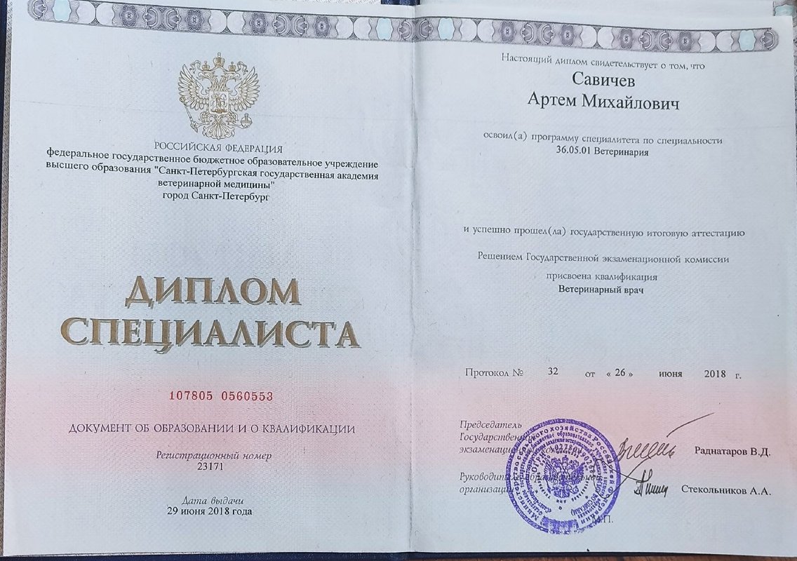 Документ или сертификат