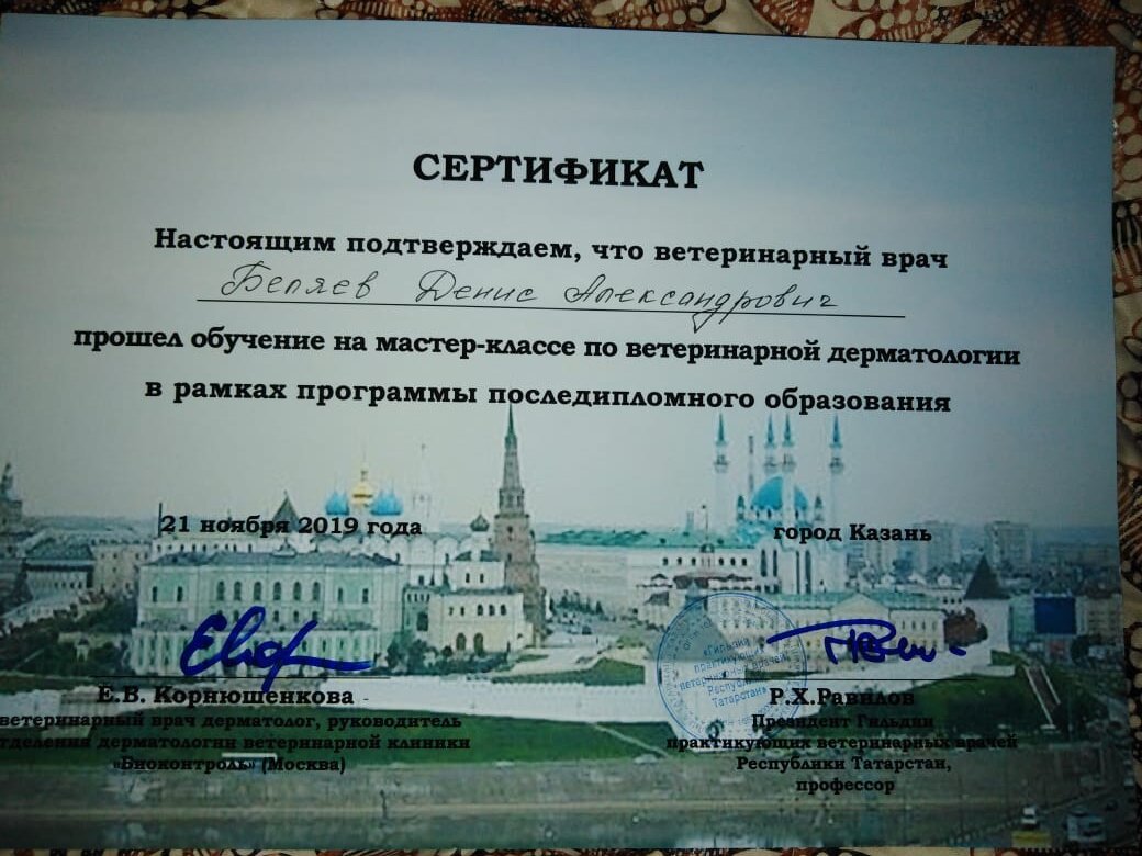 Документ или сертификат