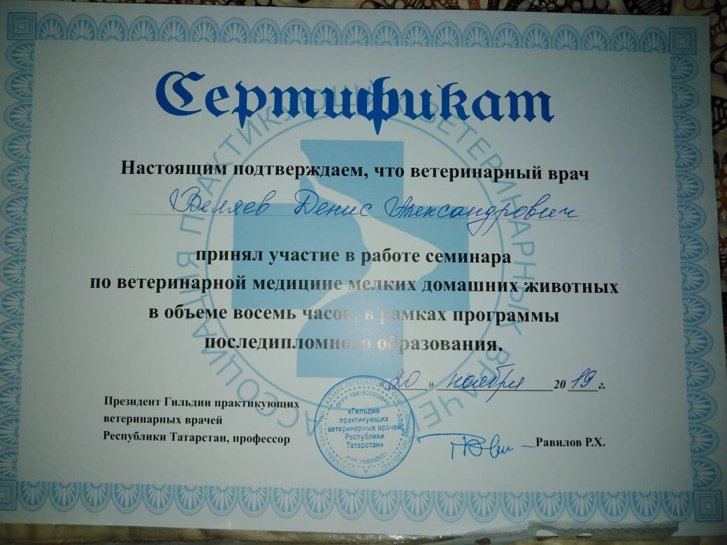 Документ или сертификат