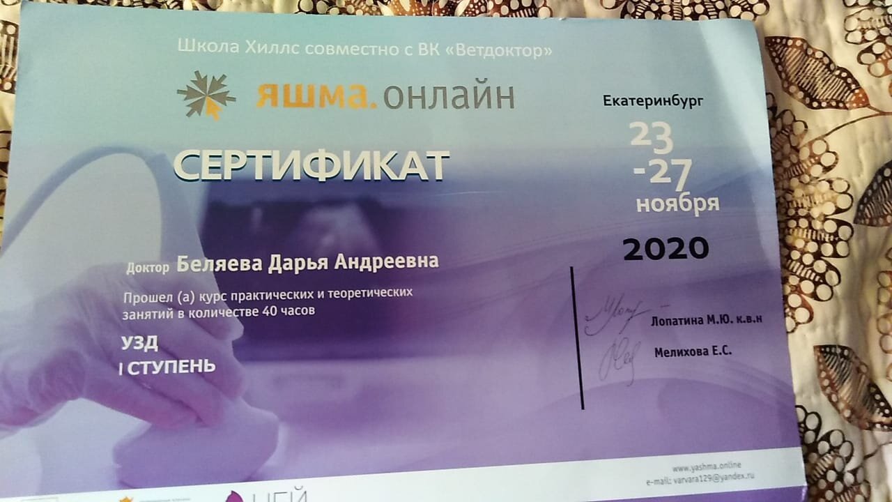 Документ или сертификат