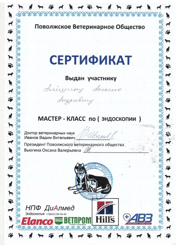Документ или сертификат