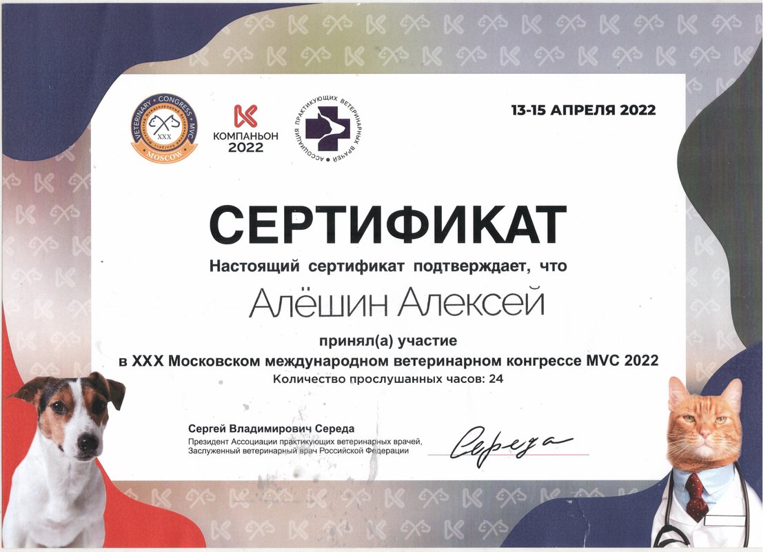 Документ или сертификат