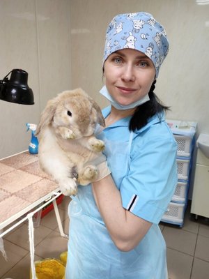 Фото врача Кумакшева Евгения Александровна