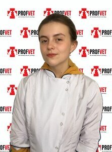 Фото врача Александрова Екатерина Игоревна