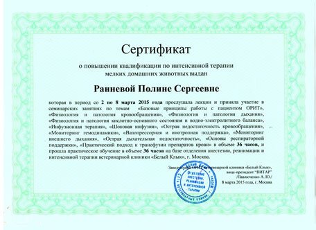 Документ или сертификат