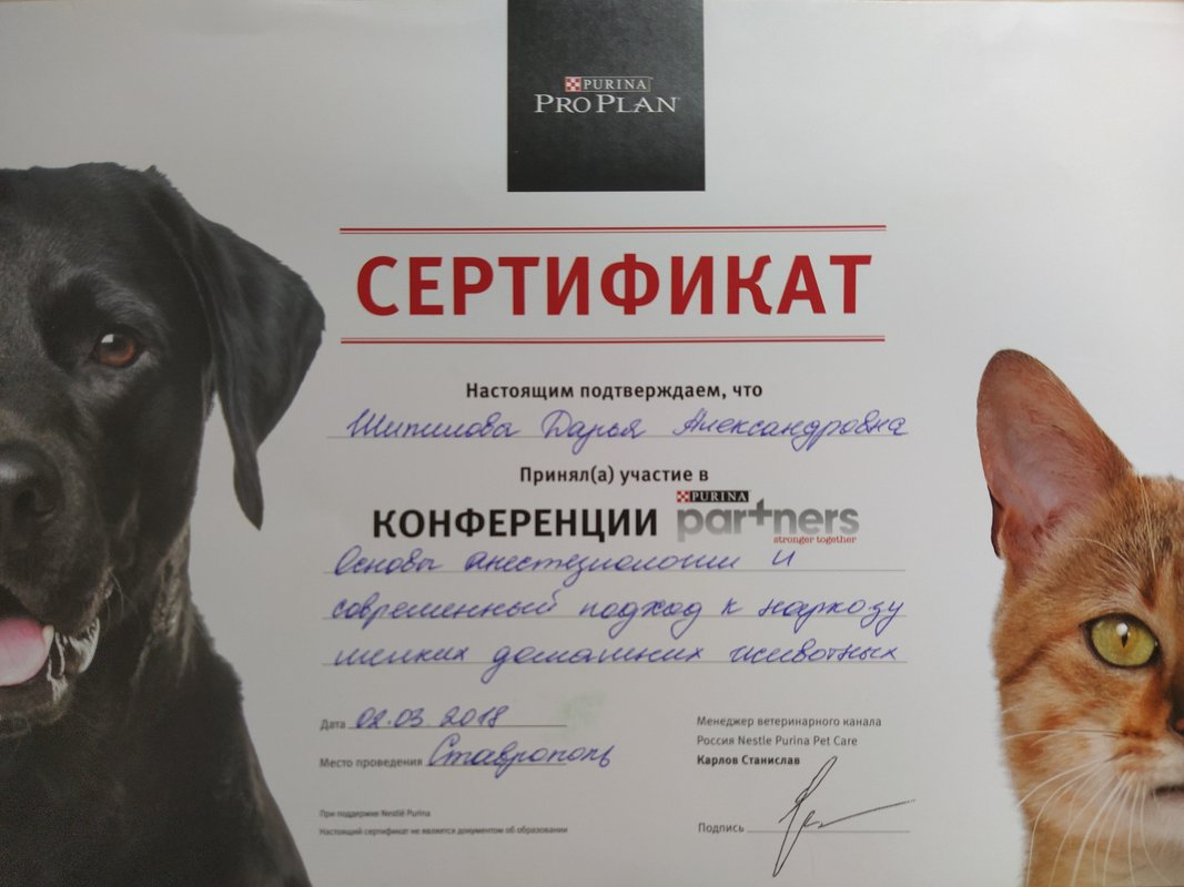 Документ или сертификат
