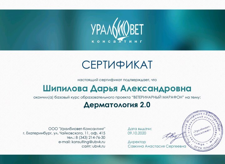 Документ или сертификат
