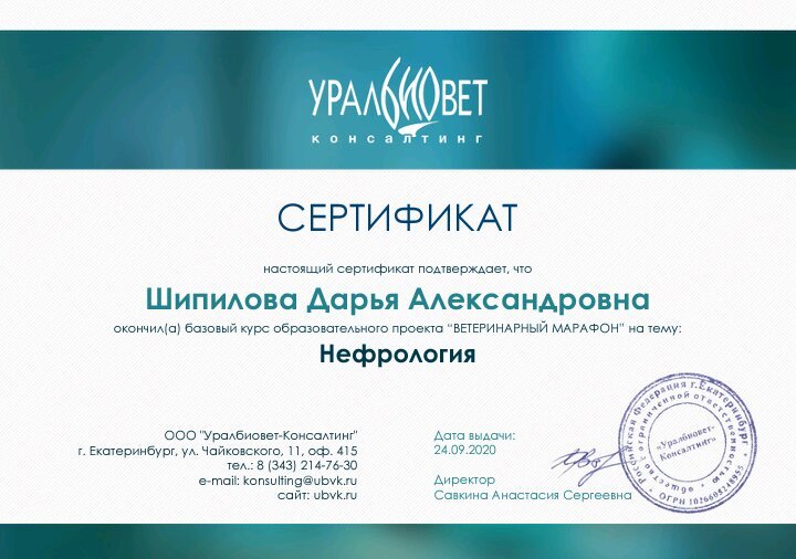 Документ или сертификат