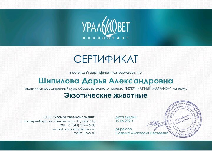 Документ или сертификат